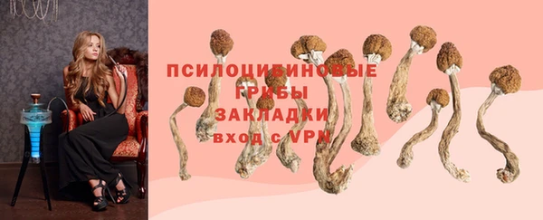 амф Алексеевка