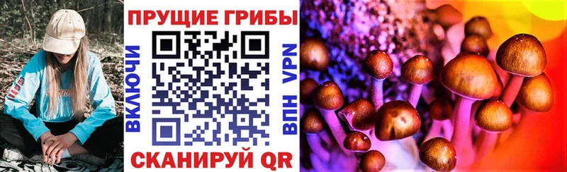 как найти закладки  Починок  Галлюциногенные грибы Magic Shrooms 
